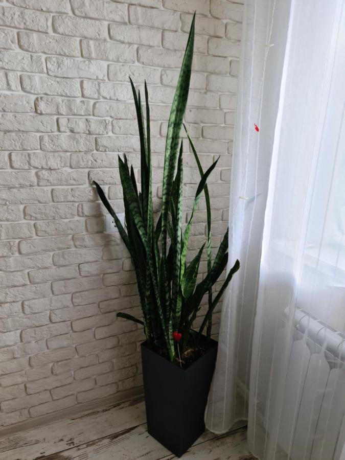Prime Apartments Grodno Bagian luar foto