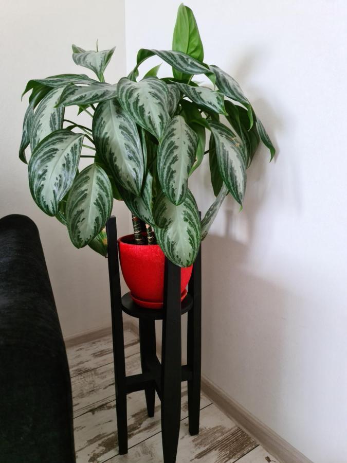 Prime Apartments Grodno Bagian luar foto